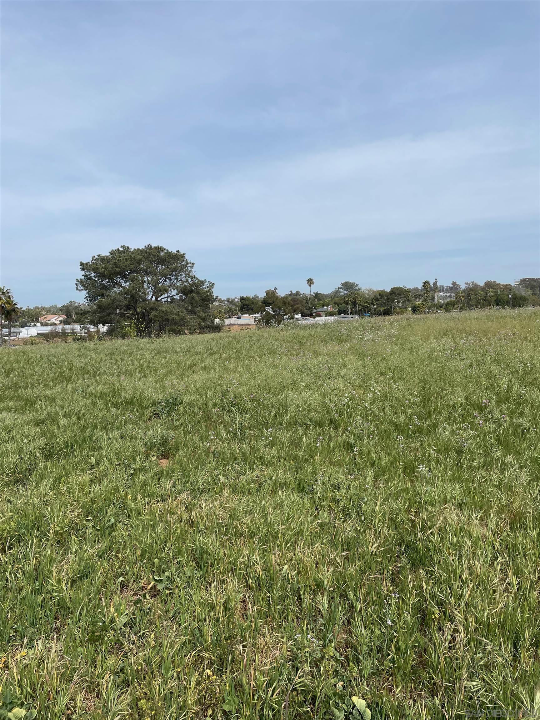 461 Ocean View Avenue Encinitas, CA 92024 - Photo 8 of 25 a view of a field with an ocean and mountains
