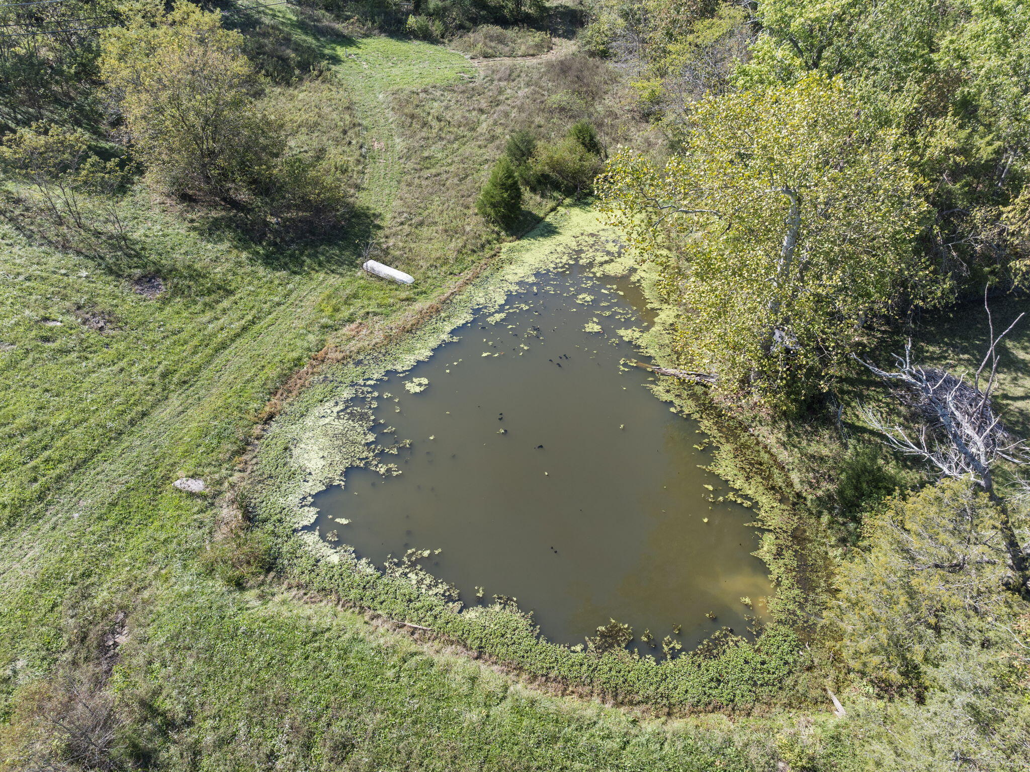 4134 Mackville Road Harrodsburg, KY 40330 - Photo 29 of 39 11-web-or-mls-DJI_20241006143546_0305_D