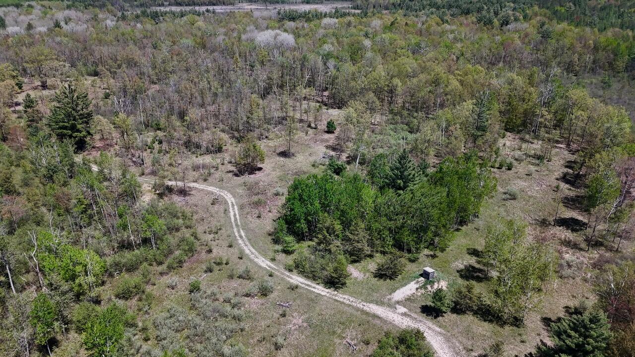 La Grant Road Alger, MI 48610 - Photo 5 of 46 004