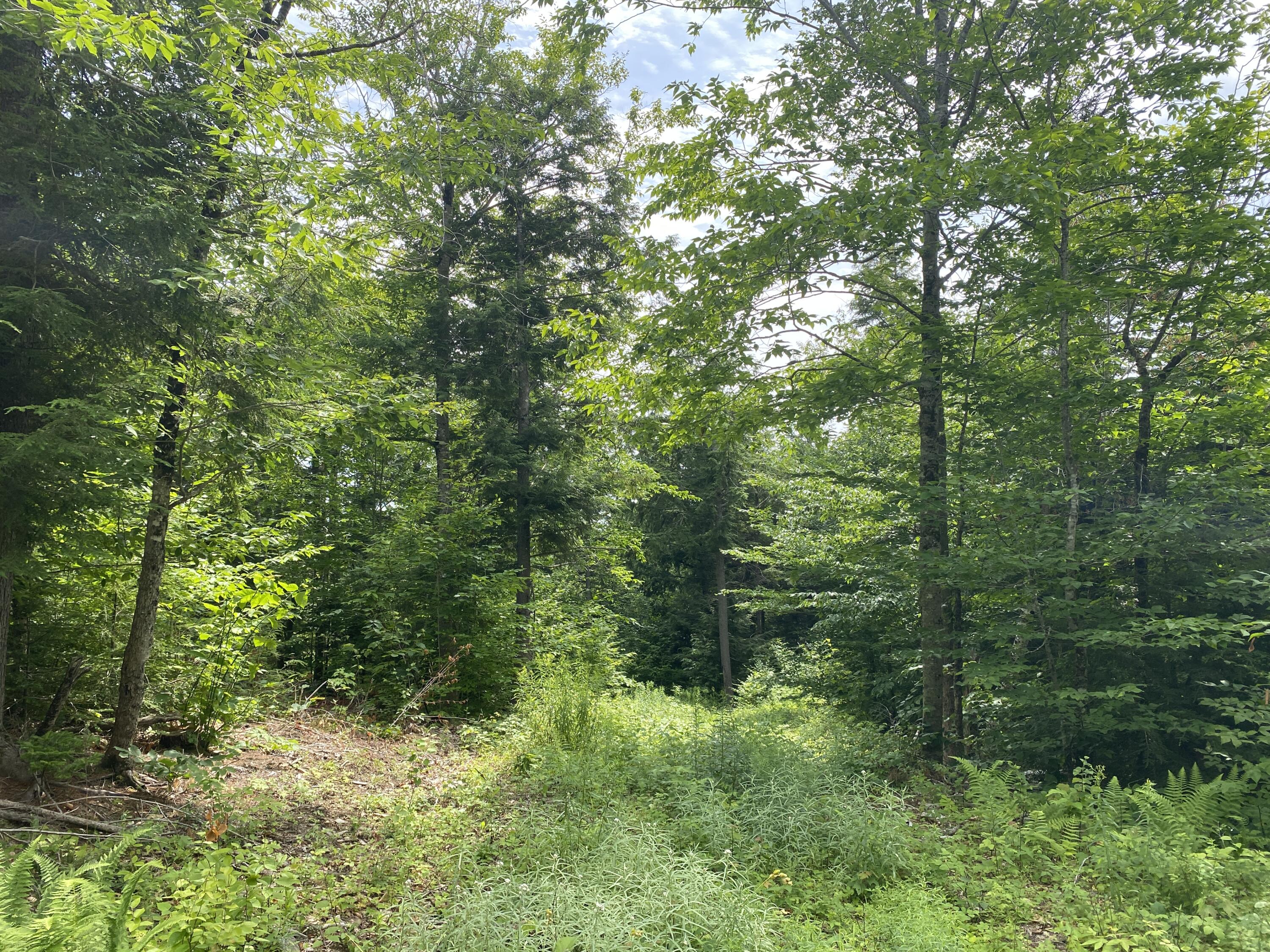 1511 Otis Road Ellsworth, ME 04605 - Photo 8 of 15 IMG_3908