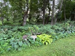 68540 300th Street Hartland, MN 56042 - Photo 63 of 84