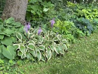 $380,000 | 68540 300th Street, Hartland, MN 56042