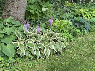 68540 300th Street Hartland, MN 56042 - Photo 64 of 84