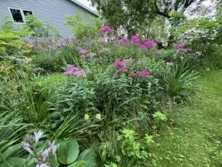 $380,000 | 68540 300th Street, Hartland, MN 56042