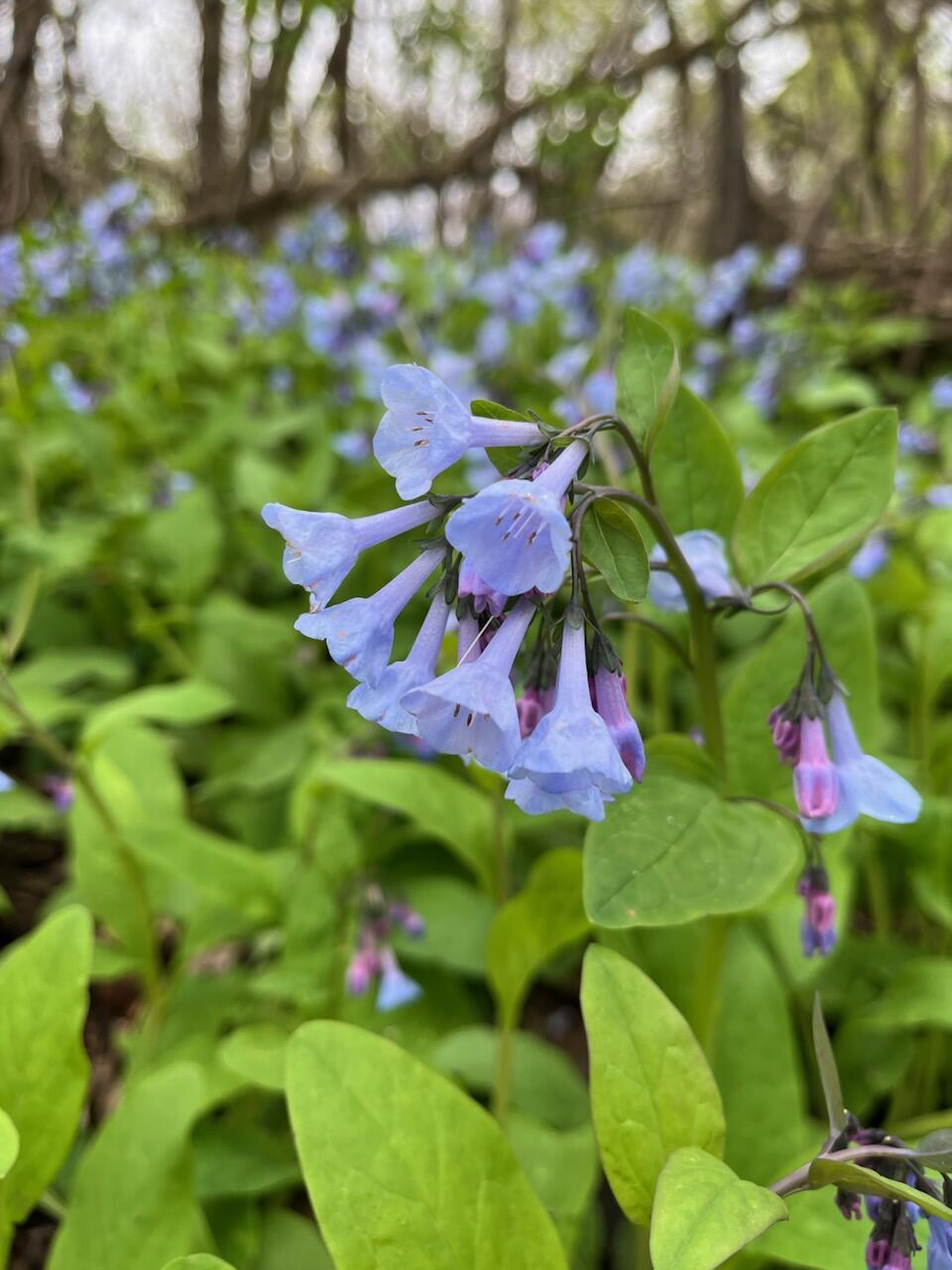 68540 300th Street Hartland, MN 56042 - Photo 69 of 84
