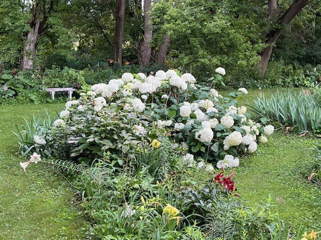 68540 300th Street Hartland, MN 56042 - Photo 70 of 84