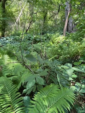 $380,000 | 68540 300th Street, Hartland, MN 56042