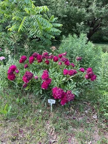 $380,000 | 68540 300th Street, Hartland, MN 56042