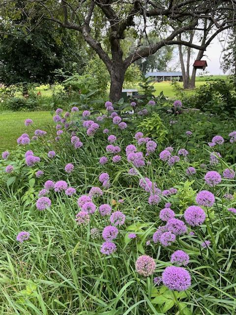 68540 300th Street Hartland, MN 56042 - Photo 73 of 84