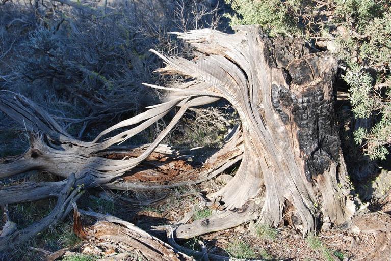 16346 Southwest Dove Road Terrebonne, OR 97760 - Photo 6 of 22 If you love nature's sculpture, your cam