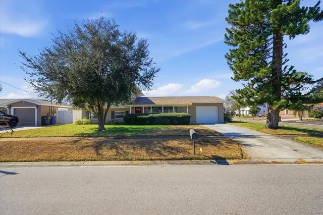 a view of a house with a yard and large tree