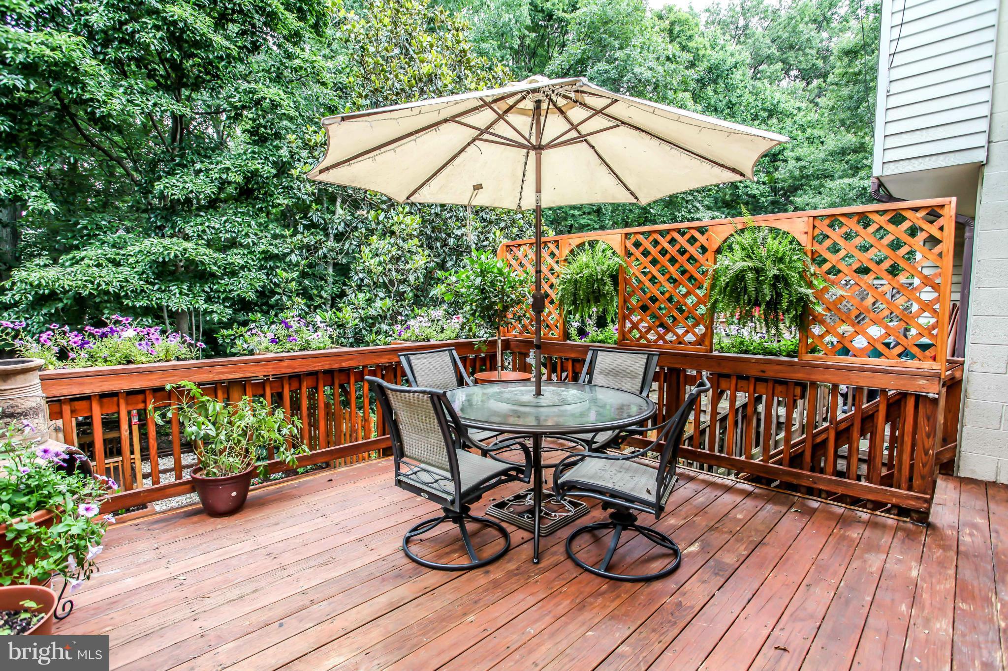 7964 Pebble Brook Court Springfield, VA 22153 - Photo 18 of 27 Exterior (Rear)