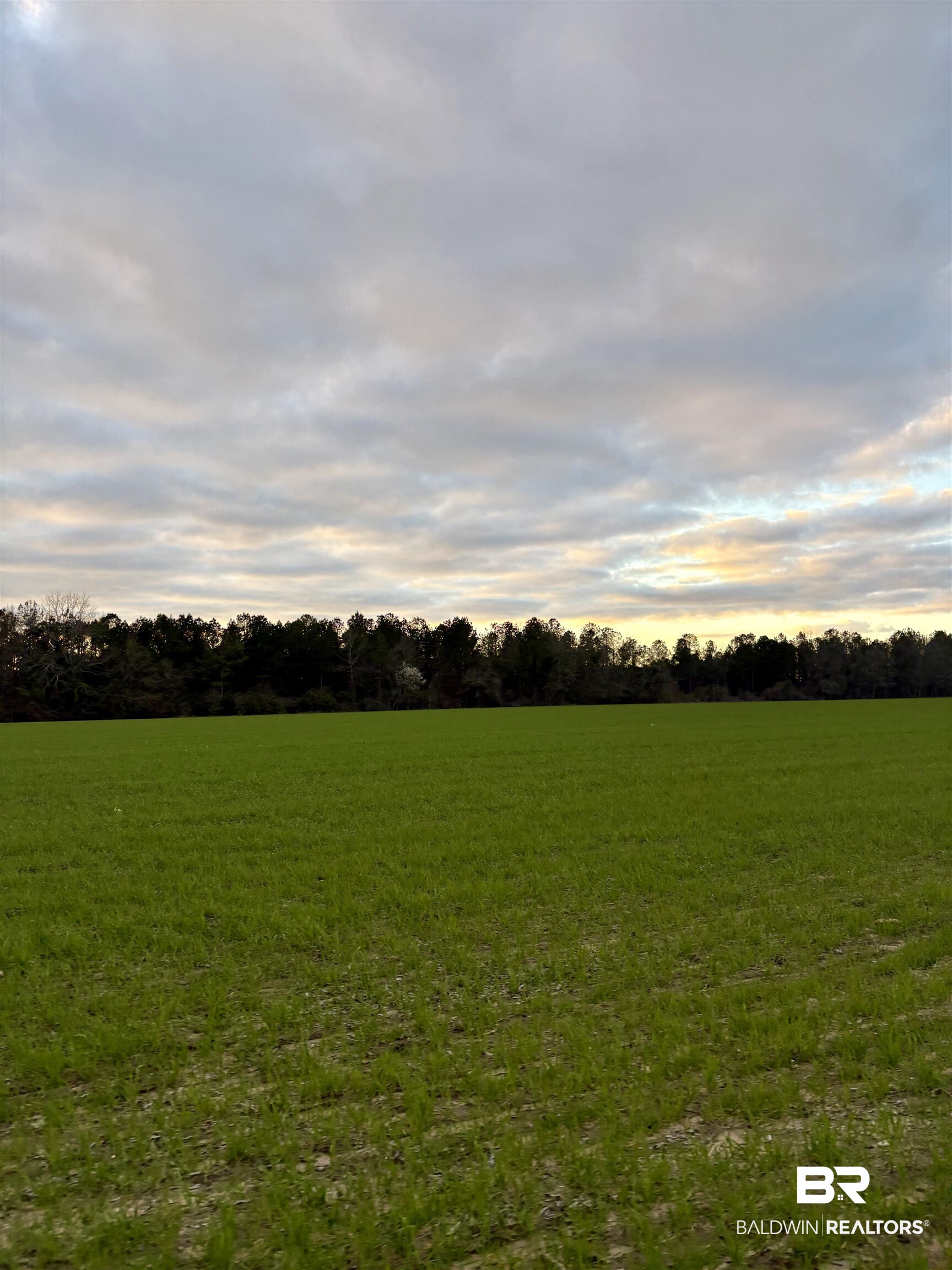 0 Ward Road Frisco City, AL 36445 - Photo 1 of 12 View of landscape featuring a rural view