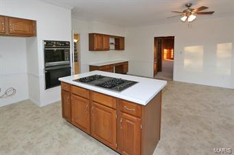 3116 Tollgate Road St. Louis, MO 63129 - Photo 9 of 29 Gallery Image 9