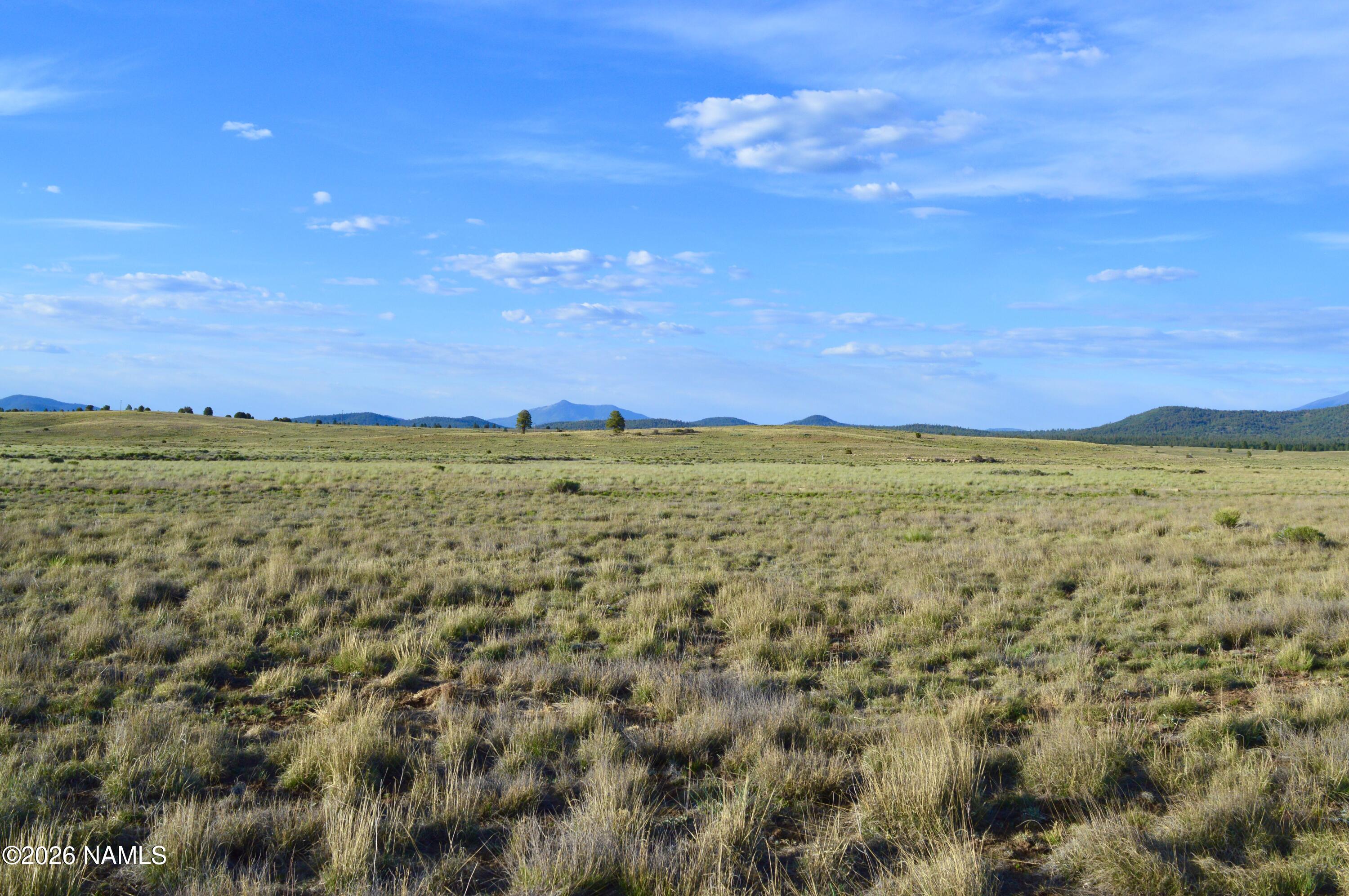 Parcel D Tanner Ranch Road Flagstaff, AZ 86005 - Photo 7 of 12 a view of an ocean from a yard