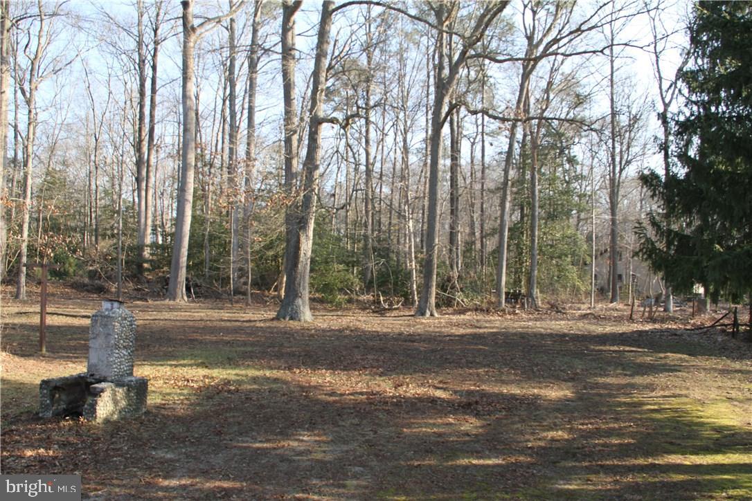22859 Pine Road Lewes, DE 19958 - Photo 18 of 18 Gallery Image 18