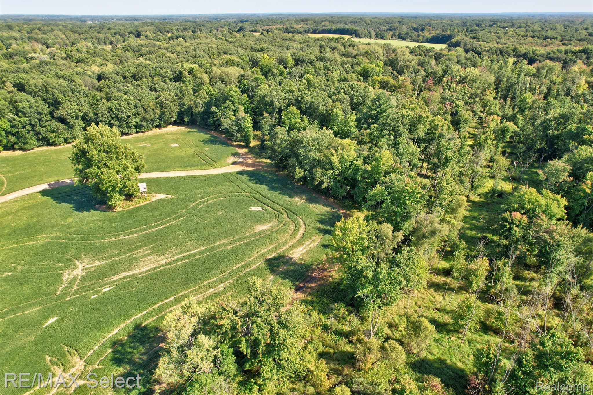 0 East Carpenter Road Davison, MI 48423 - Photo 15 of 18 Gallery Image 15