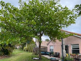 10251 Breezeway Place Boca Raton, FL 33428 - Photo 4 of 20 house back
