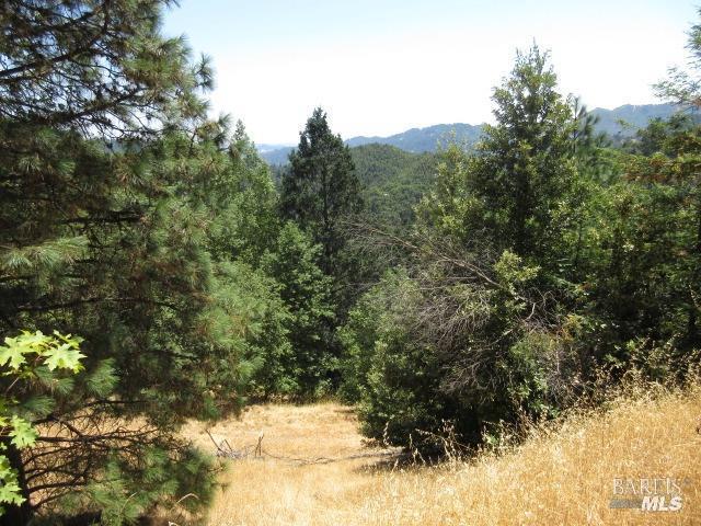 23480 Fort Ross Road Cazadero, CA 95421 - Photo 3 of 5 Gallery Image 3