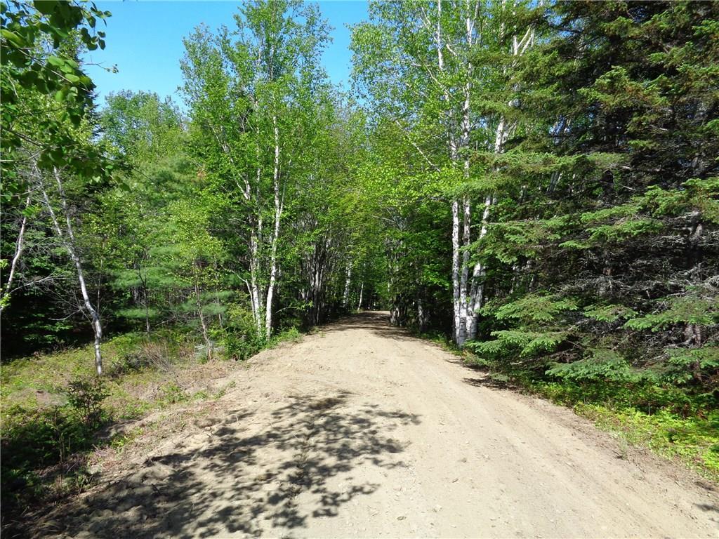 Lot 9 Pineo Point Road Harrington, ME 04643 - Photo 7 of 25 Photo