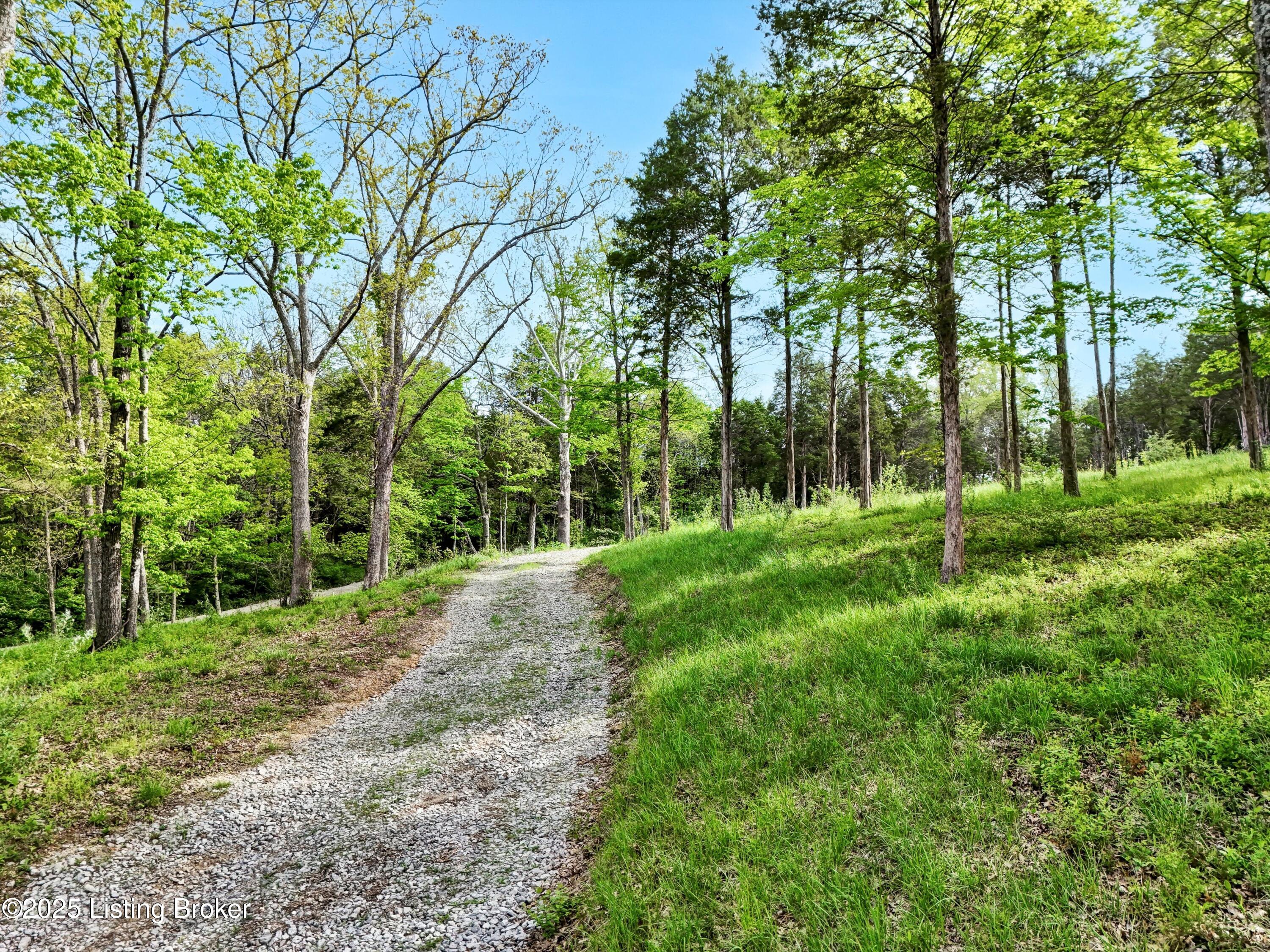 5601 Chenoweth Run Road Louisville, KY 40299 - Photo 7 of 16 10-Chenoweth Run Rd