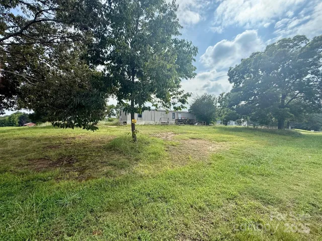a view of a field with a tree