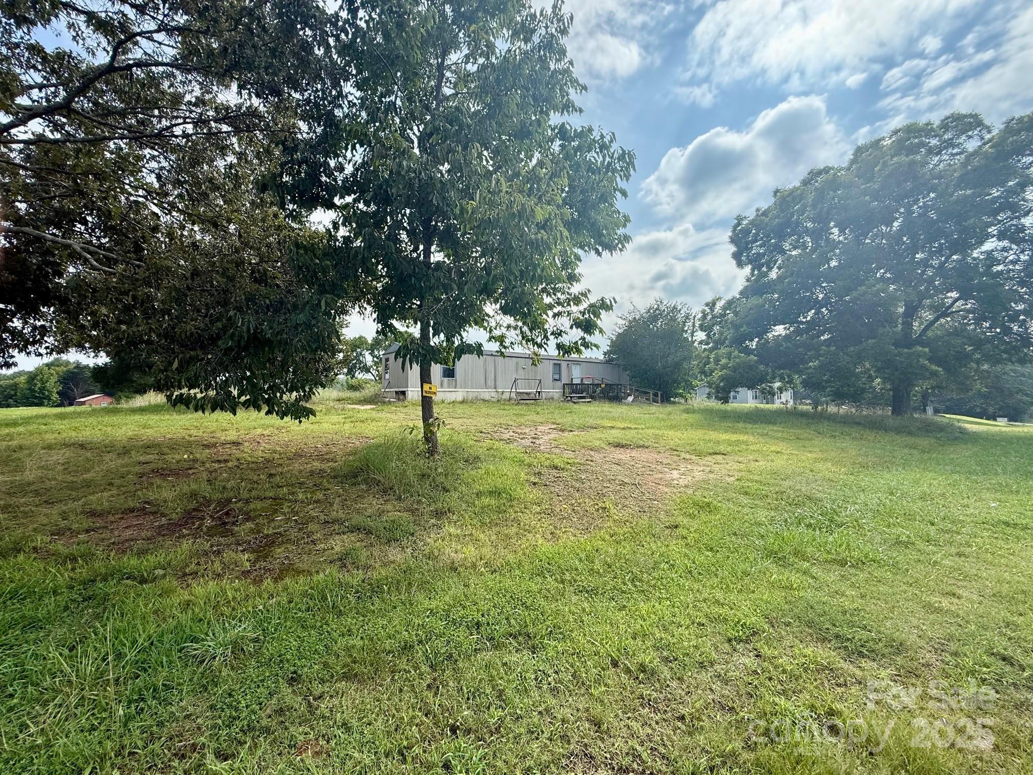 a view of a field with a tree
