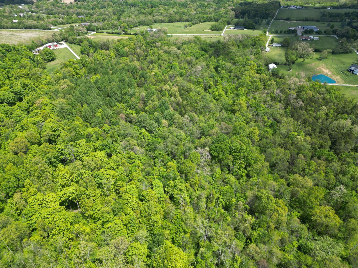 0 Chesterville Road Moores Hill, IN 47032 - Photo 16 of 31