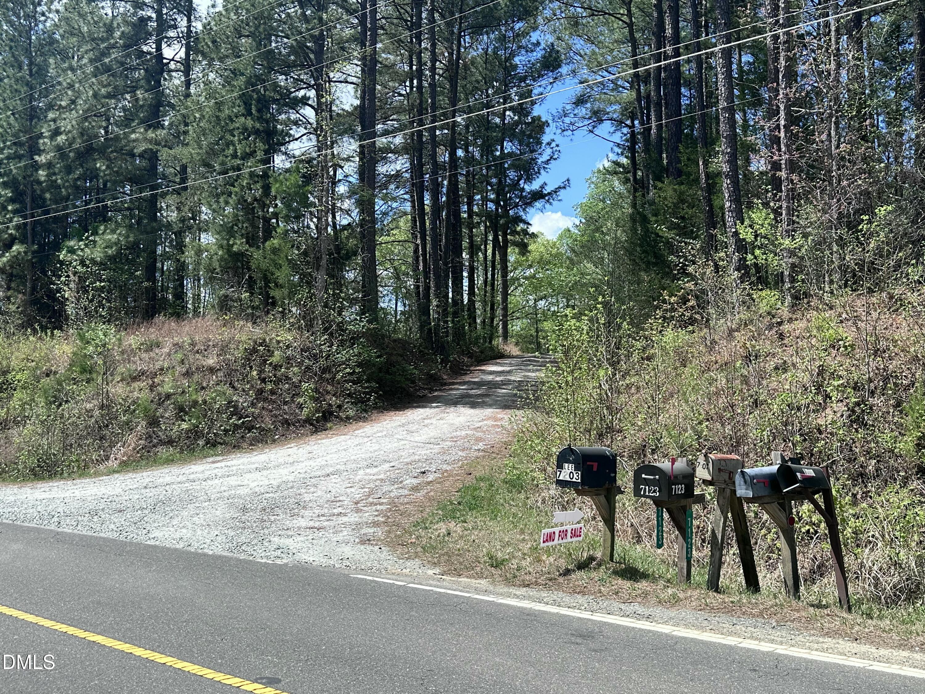 7227 Russell Road Hillsborough, NC 27278 - Photo 2 of 4 a view of a backyard of the house