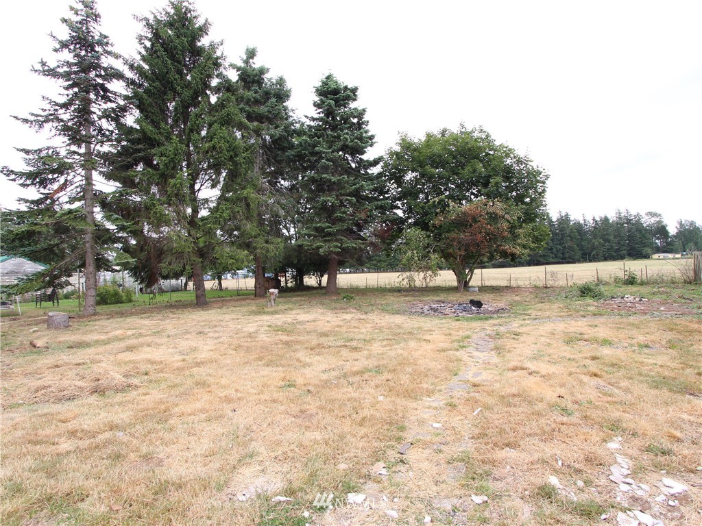 7564 Bruce Road Custer, WA 98240 - Photo 22 of 22