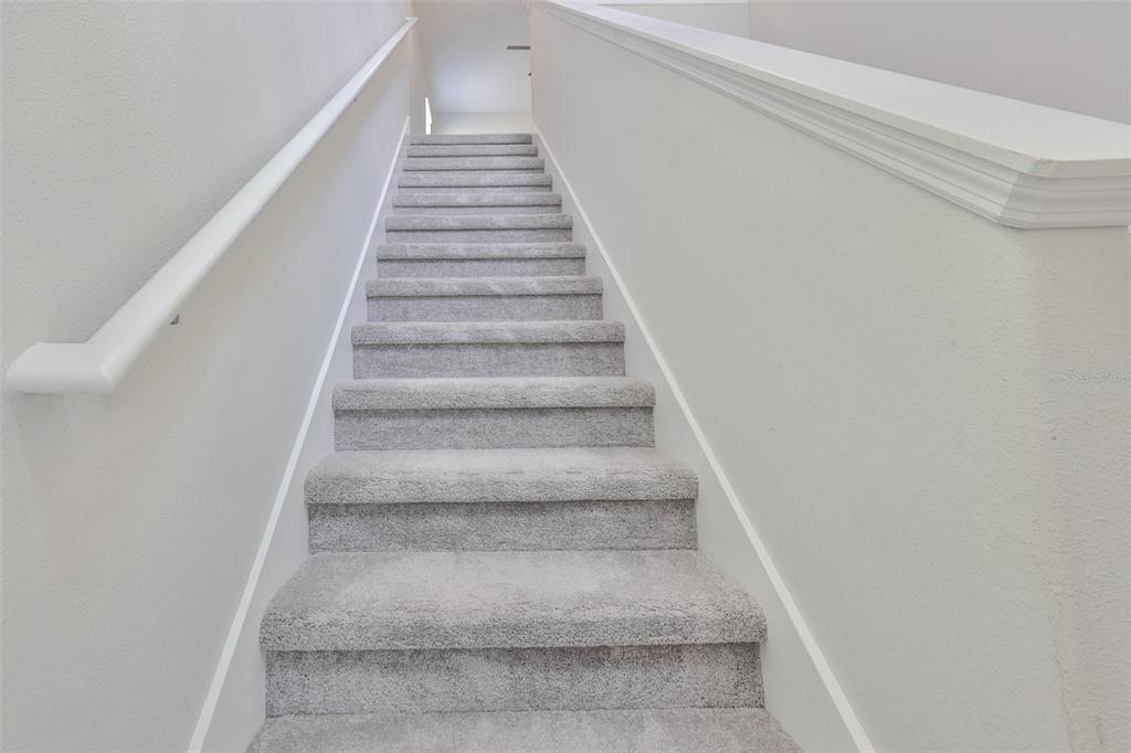 797 Olive Conch Street Ruskin, FL 33570 - Photo 35 of 53 a view of entryway