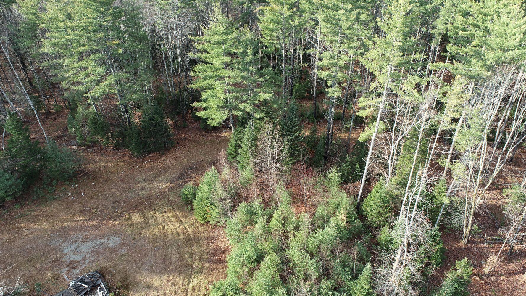 215 Wentworth Road Embden, ME 04958 - Photo 5 of 77 DJI_0006