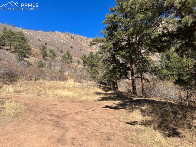 Rampart Terrace Road Cascade, CO 80809 - Photo 4 of 13