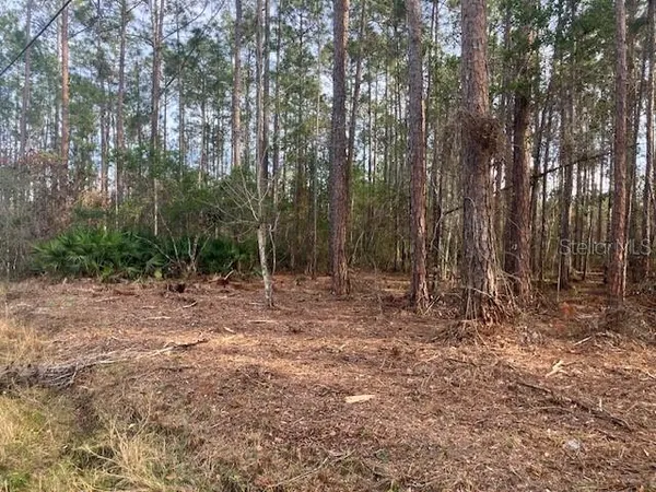 $69,900 | 4515 Mahogany Boulevard, Bunnell, FL 32110