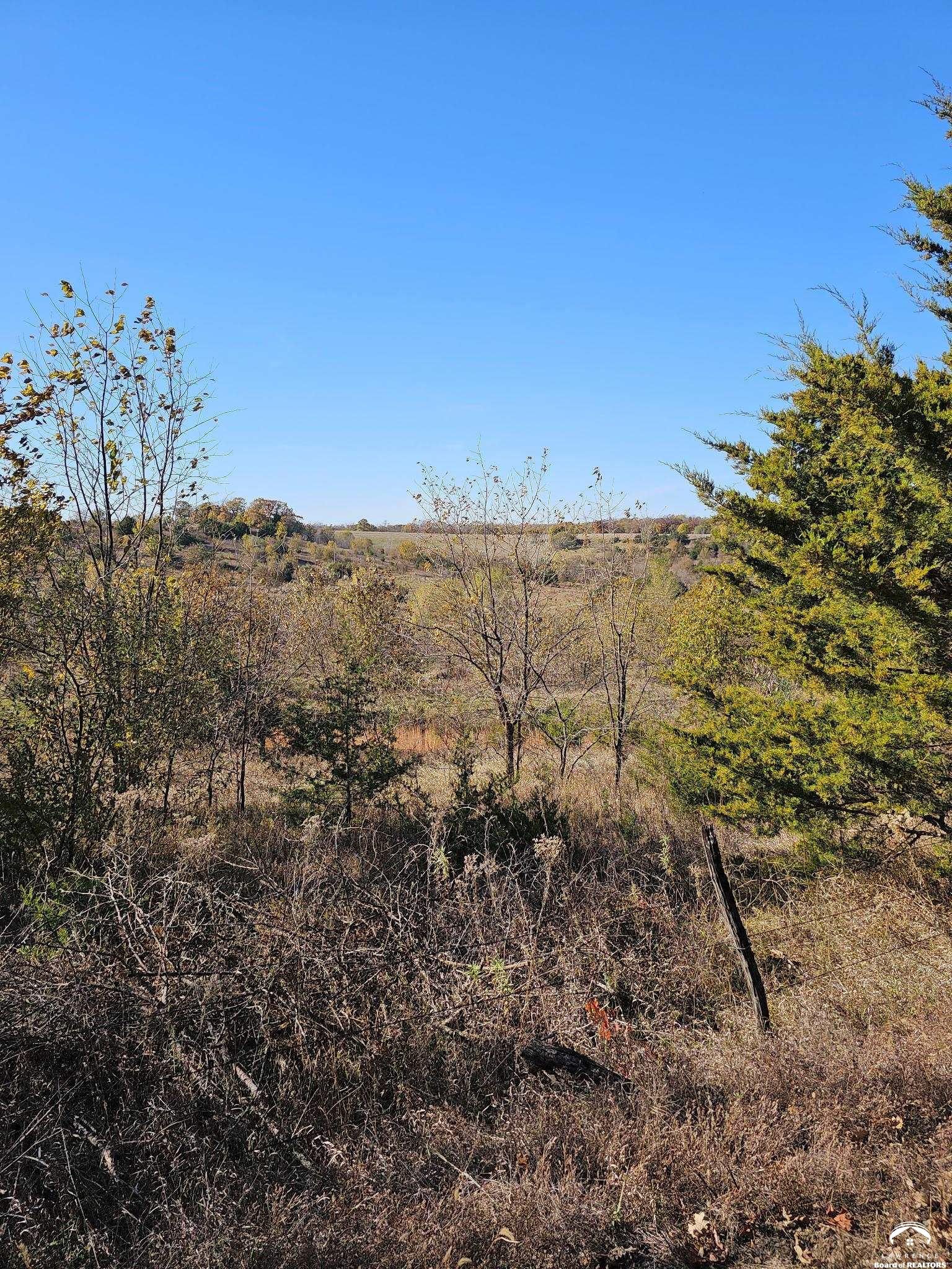 20 Acres M/l East 350th Road Berryton, KS 66409 - Photo 11 of 20