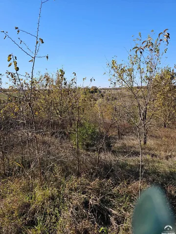 $249,000 | 20 Acres M/l East 350th Road, Berryton, KS 66409