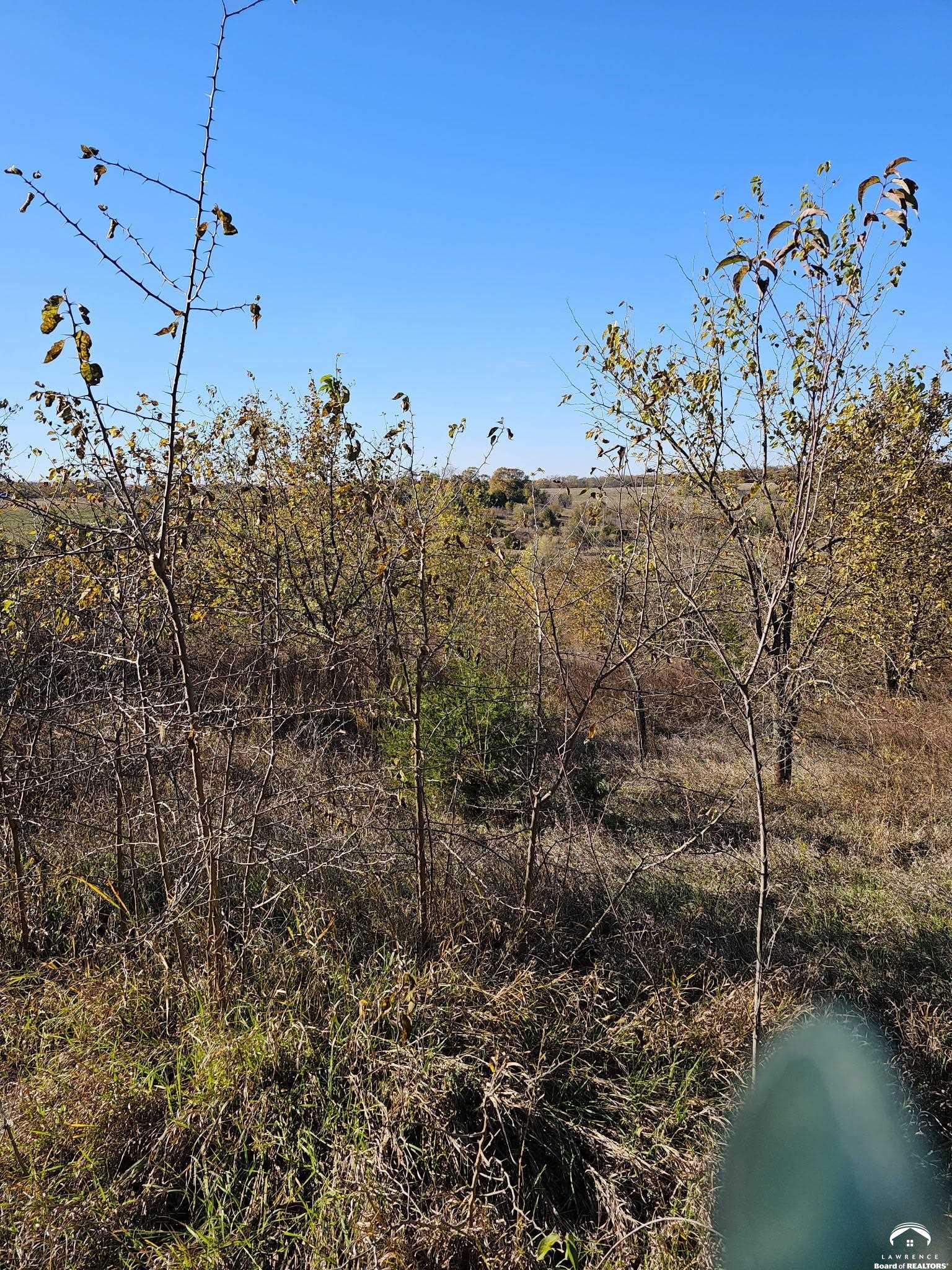 20 Acres M/l East 350th Road Berryton, KS 66409 - Photo 15 of 20
