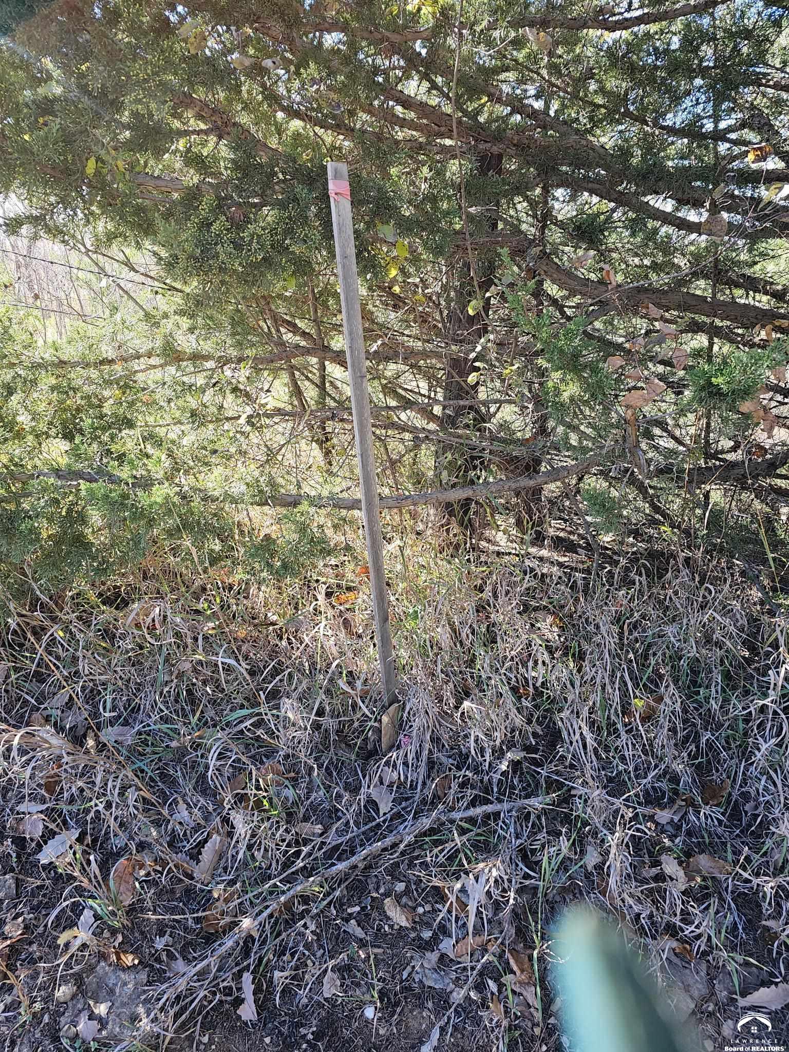 20 Acres M/l East 350th Road Berryton, KS 66409 - Photo 16 of 20