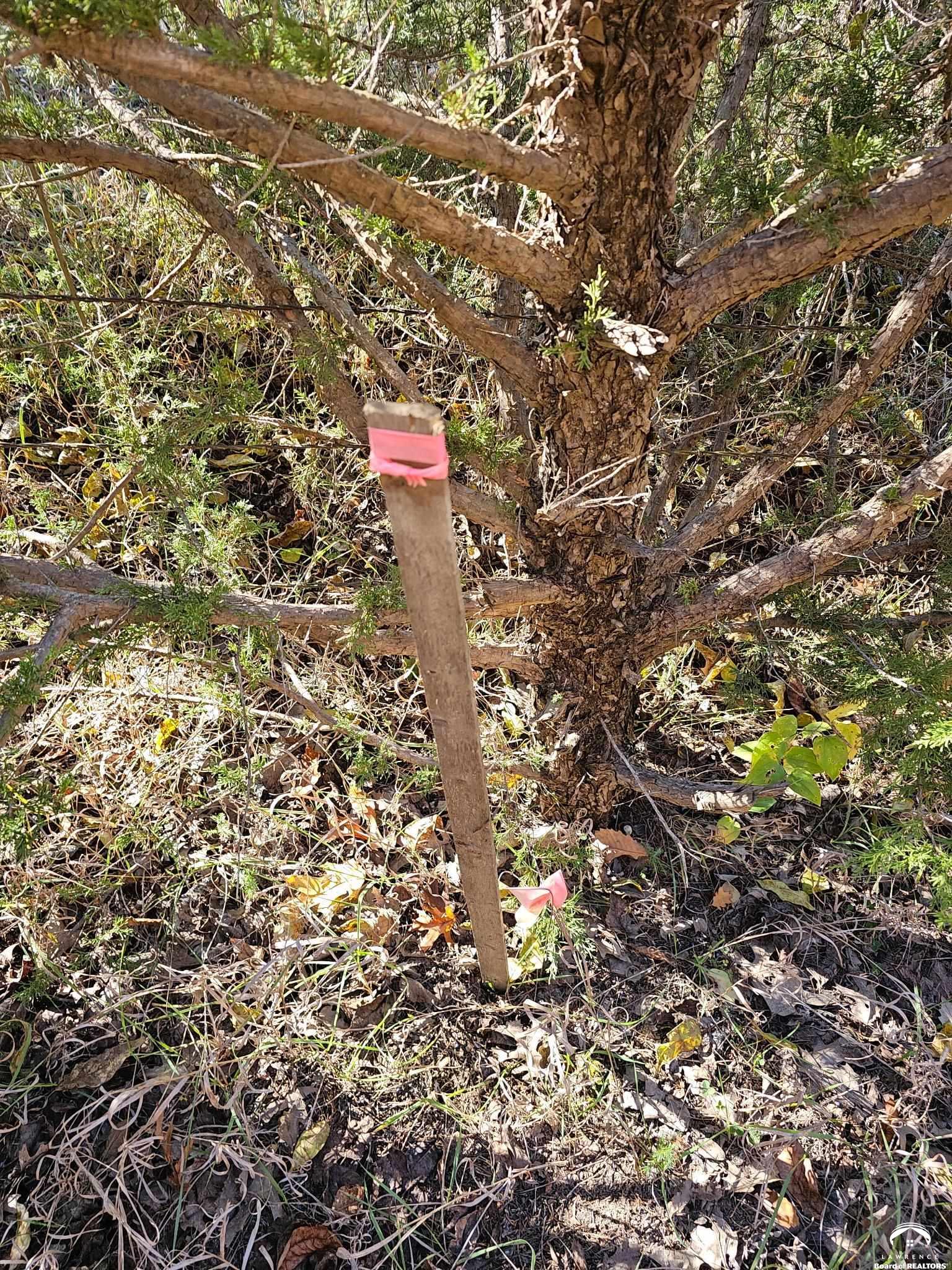 20 Acres M/l East 350th Road Berryton, KS 66409 - Photo 3 of 20