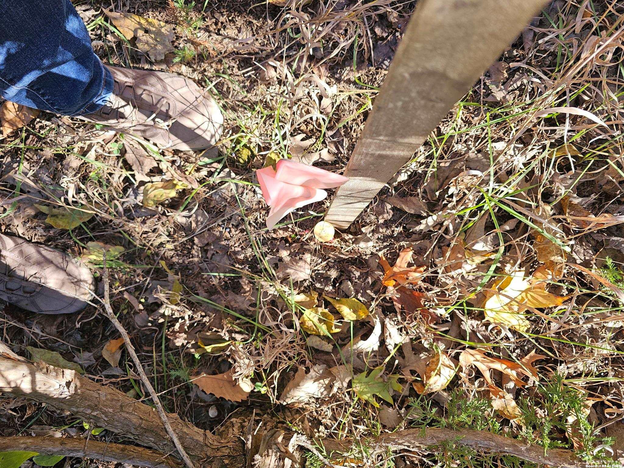 20 Acres M/l East 350th Road Berryton, KS 66409 - Photo 8 of 20