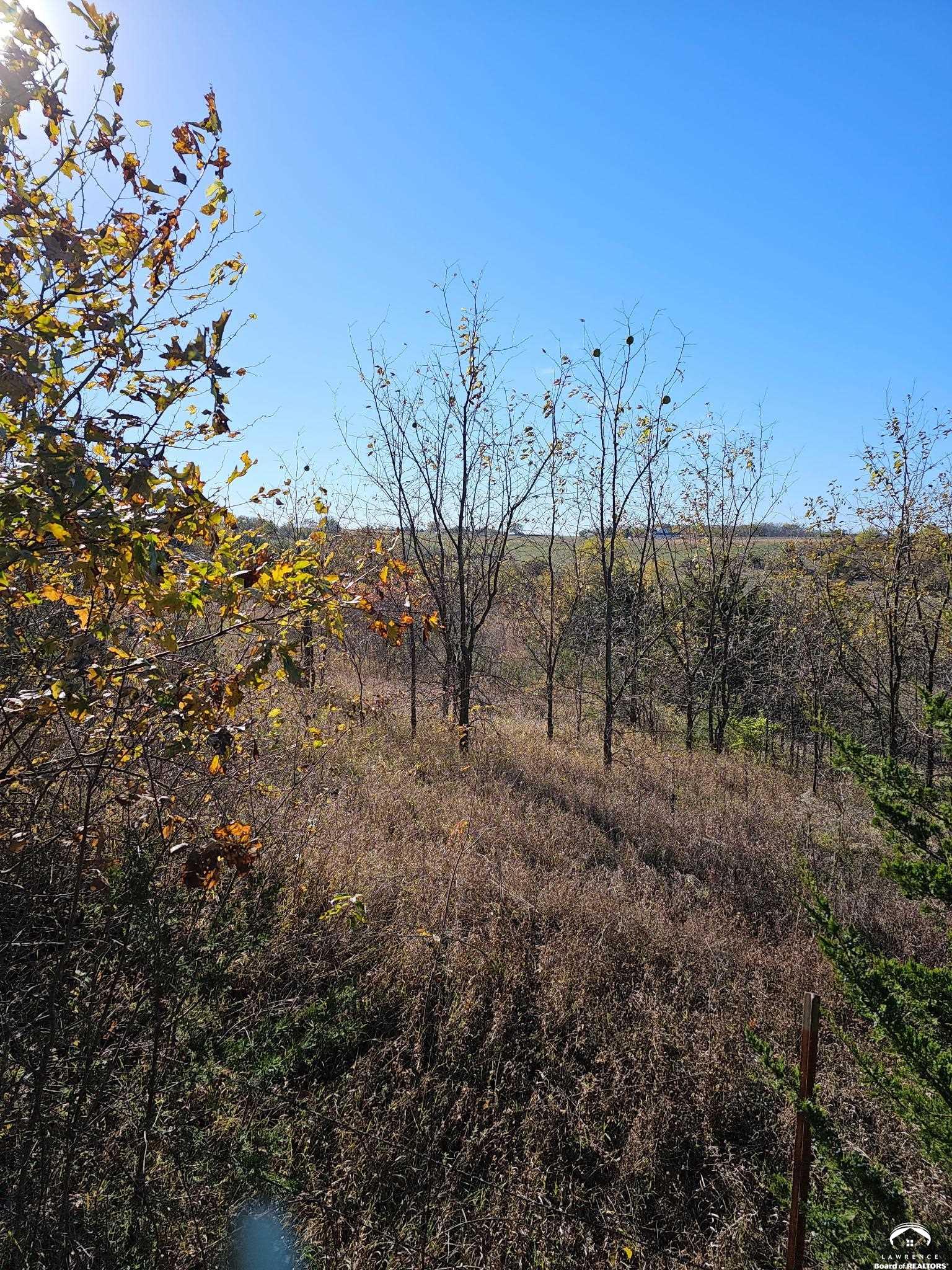 20 Acres M/l East 350th Road Berryton, KS 66409 - Photo 9 of 20
