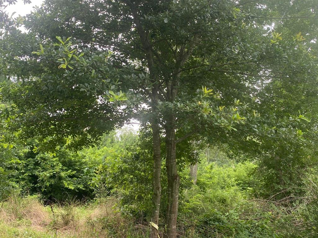 0 West 8th Corsicana Tx