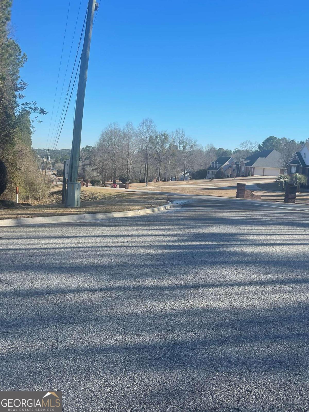 505 Spring Run Lizella, GA 31052 - Photo 6 of 8 a view of a yard