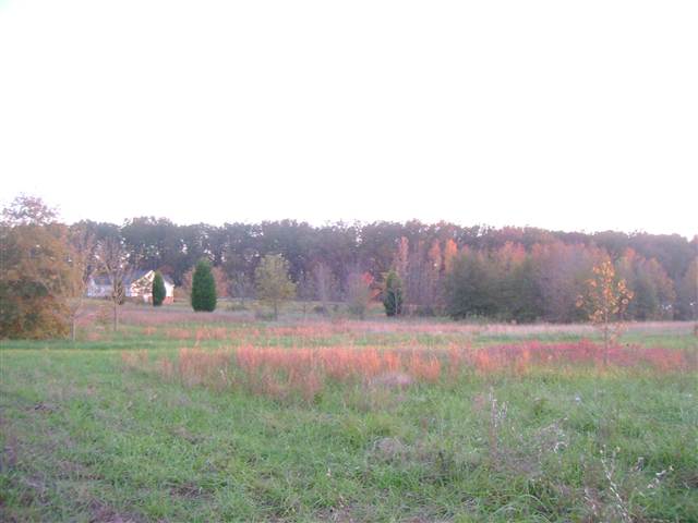 623 Cheddar Road Belton, SC 29627 - Photo 4 of 6