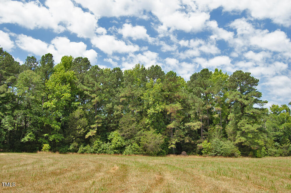 507 Agpark Road Pittsboro, NC 27312 - Photo 12 of 34 DSC_0427