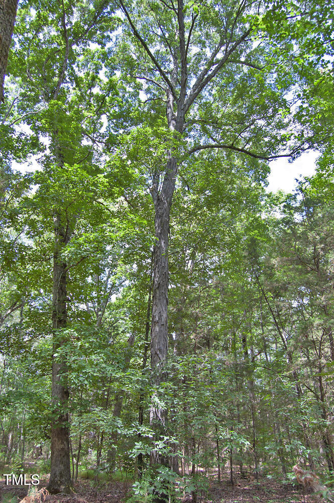 507 Agpark Road Pittsboro, NC 27312 - Photo 14 of 34 DSC_0413