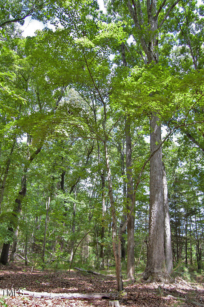 507 Agpark Road Pittsboro, NC 27312 - Photo 15 of 34 DSC_0414