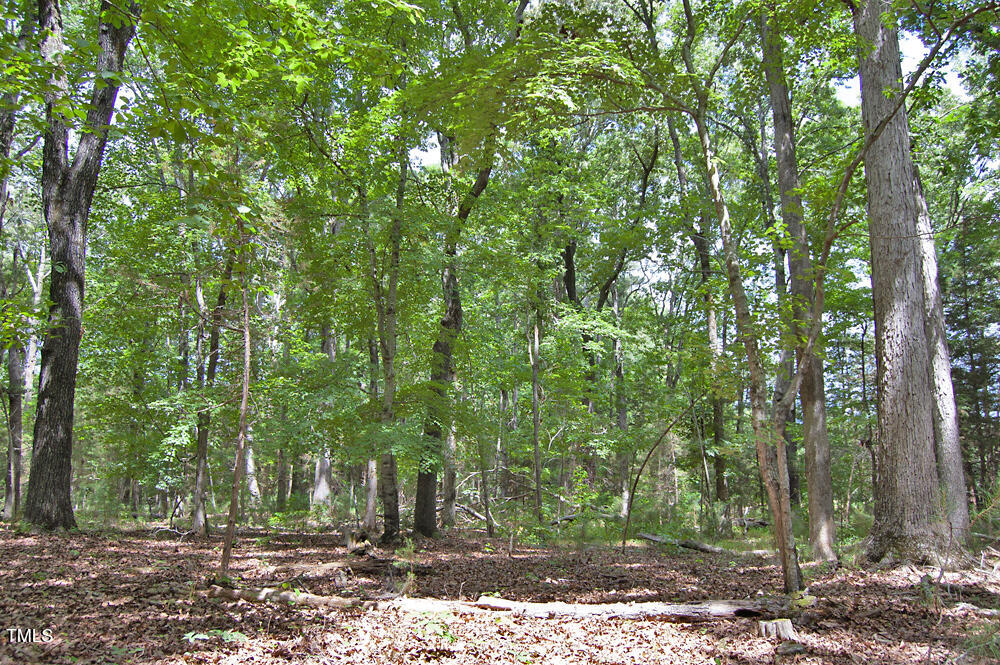 507 Agpark Road Pittsboro, NC 27312 - Photo 17 of 34 DSC_0415