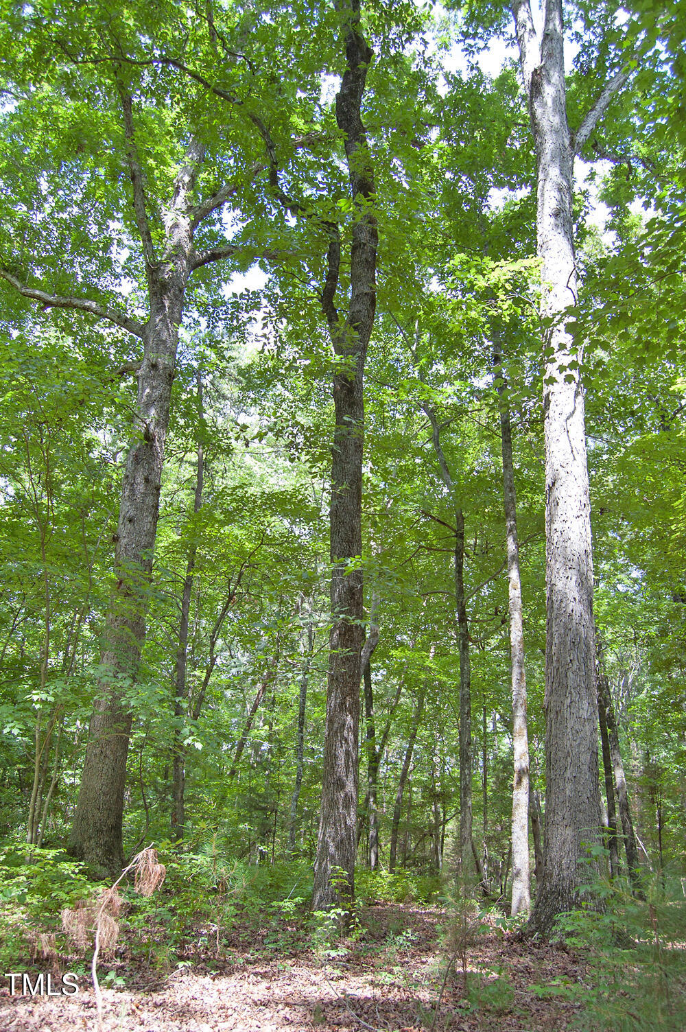 507 Agpark Road Pittsboro, NC 27312 - Photo 18 of 34 DSC_0418