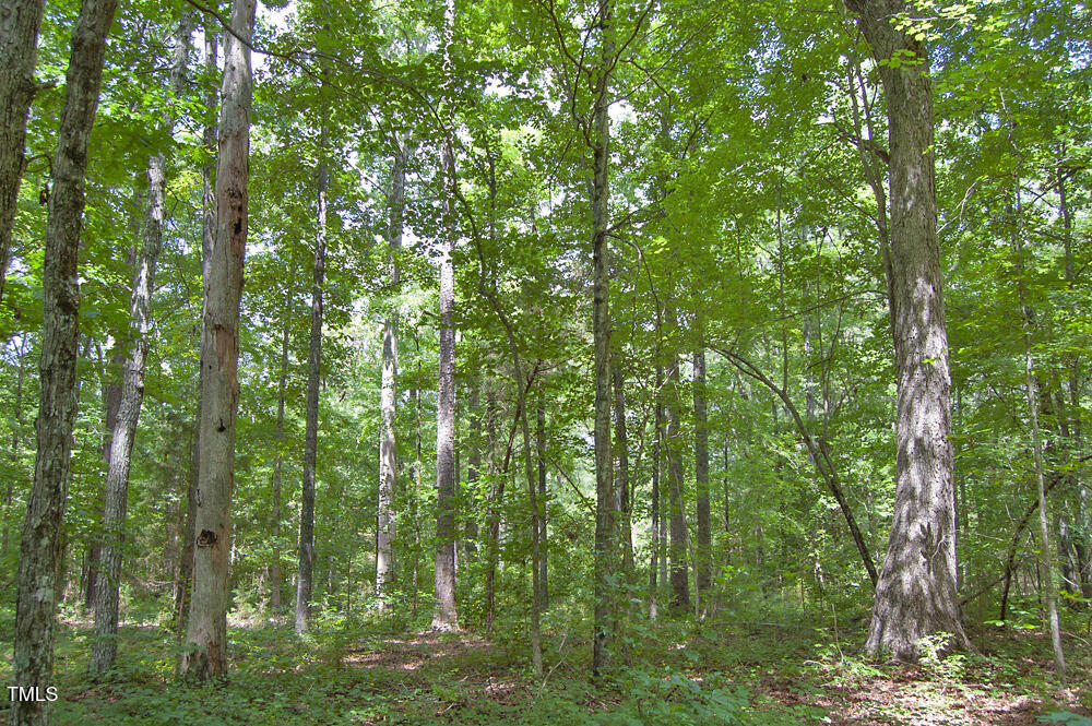 507 Agpark Road Pittsboro, NC 27312 - Photo 19 of 34 DSC_0421
